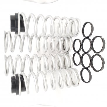 Spring Kit, 2015-18 RZR S 900/1000, For all 4 Shocks, Dual Spring Fronts, Dual Spring Rear