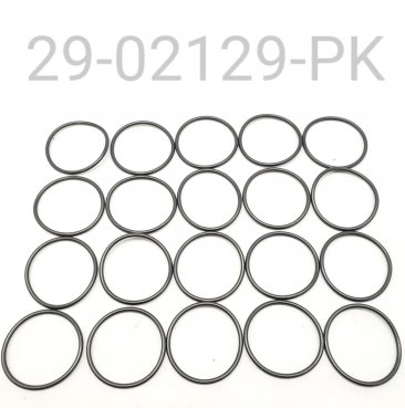 O-RING, BODY CAP, PAK OF 20