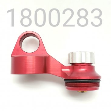 PIGGYBACK, Walker Evans