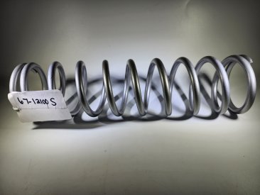Spring: (T) [12.000 TLG X 2.500 ID X 100 lbs/in] Silver