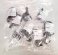 Fox Float Float 2 Float 3 Evol R Air Sleeve Service Kit 10 Pack