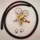 Professional Nitrogen Regulator with 5 Foot Hose and Clamps (Full View)